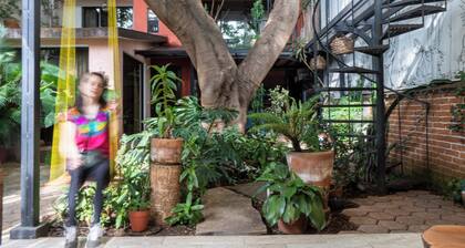 Casa del Árbol Xochimilco