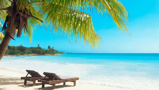 Une plage avec deux chaises longues en bois sous un palmier, une eau d’un bleu limpide et une côte verdoyante qui s’étend au loin.