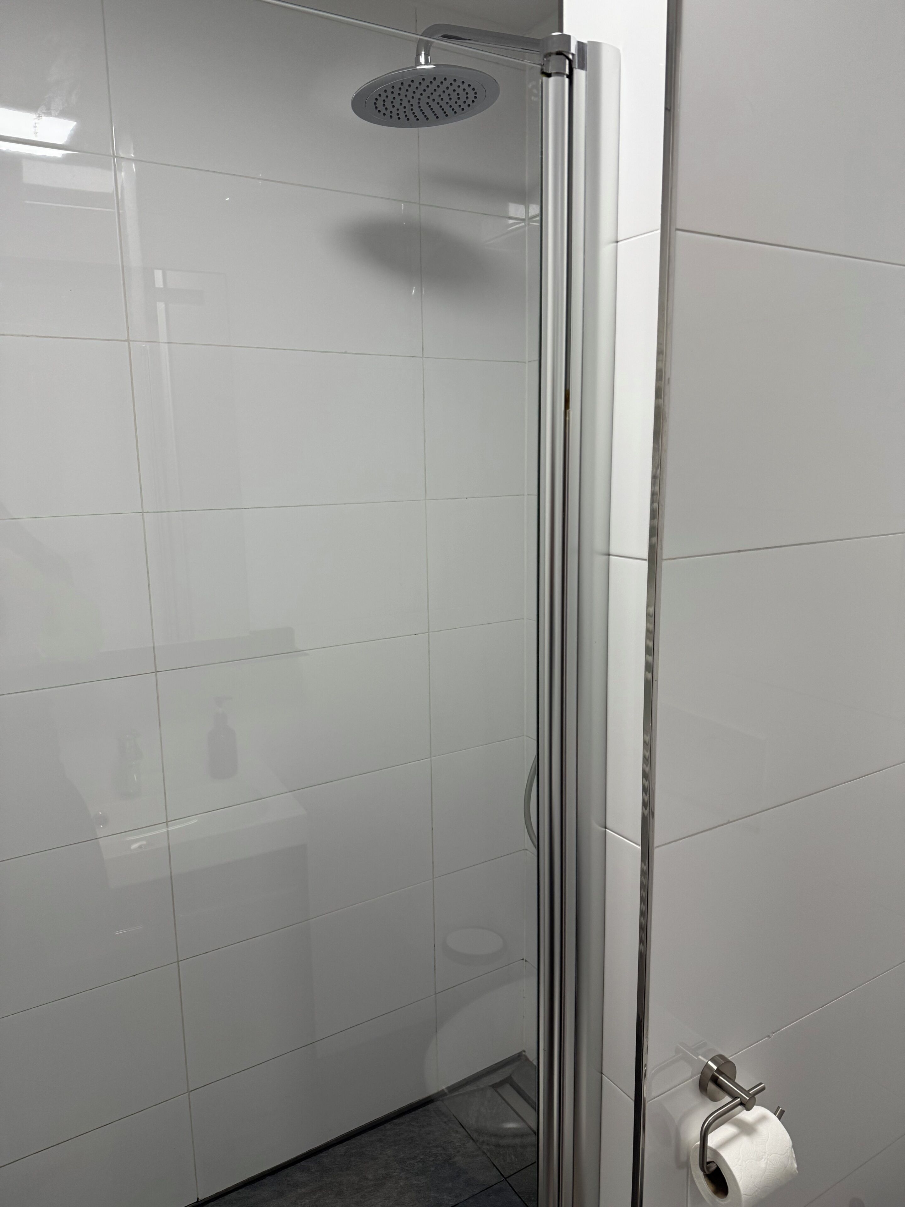 Ducha envuelta en vidrio, con ducha de mano, dispensador de papel higiénico y un rollo de papel higiénico a la vista.