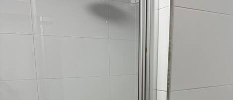 Ducha envuelta en vidrio, con ducha de mano, dispensador de papel higiénico y un rollo de papel higiénico a la vista.