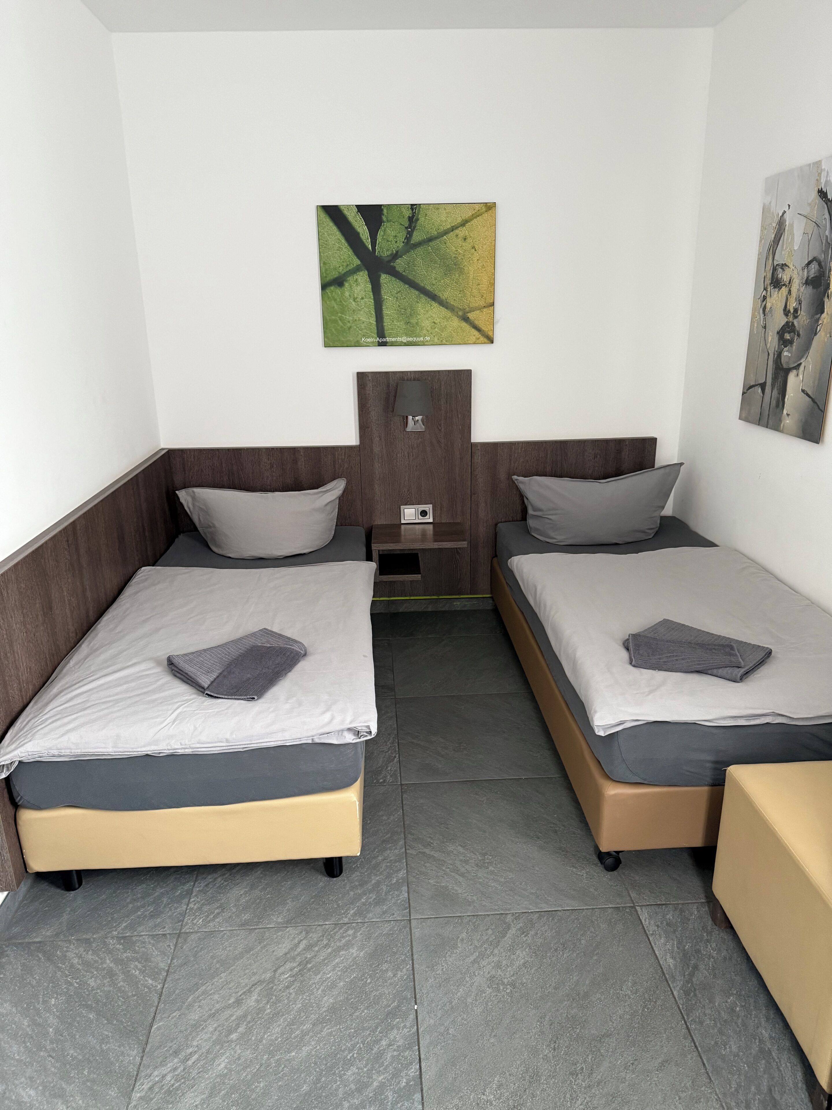 Una habitación pequeña y moderna con dos camas individuales, una mesita de noche, una lámpara y un cuadro en la pared.