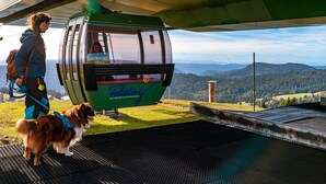 Eine Seilbahn mit einer Person und einem Hund auf einer grünen Plattform mit Bergblick.