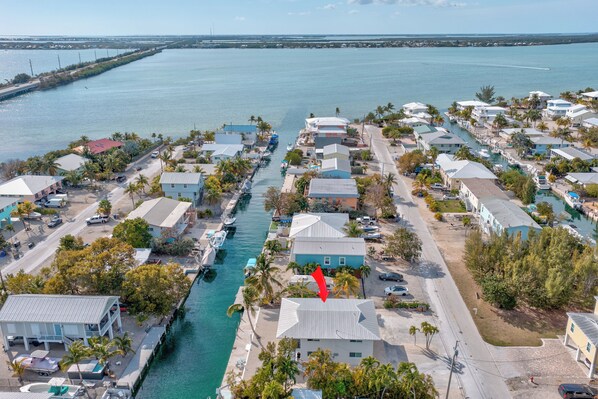 Unclassified image, 1 of 36, button