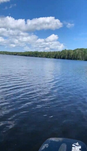 Niet-geclassificeerde afbeelding, 2 van 11, knop