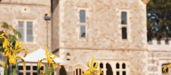 The Heart of Whitstable