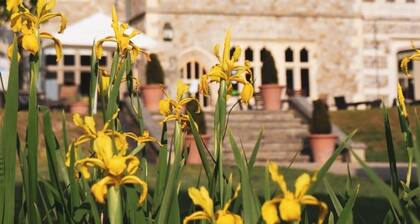 The Heart of Whitstable