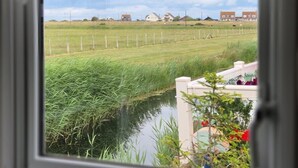 Vista desde una ventana: un campo cubierto de hierba con una cerca, un pequeño cuerpo de agua y casas a lo lejos.
