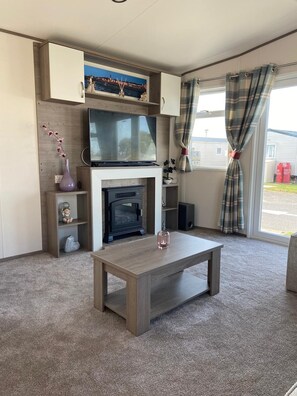TV, fireplace