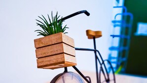 Detalj interiör