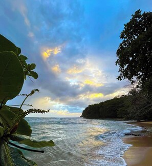 A beach with waves, a clear sky, and dense foliage. - Casa Nova ~ Caribbean Villa with Pool (Punta Uva)
