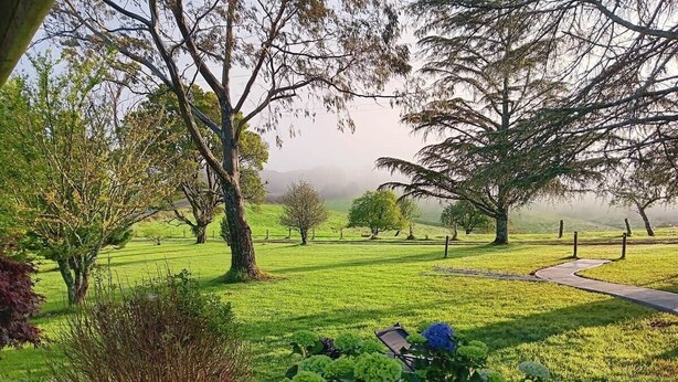 Un parque con un sendero pavimentado, varios árboles y césped cuidado.