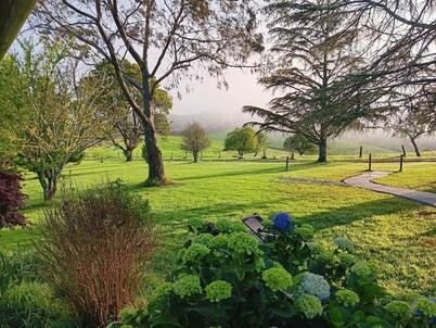 Fernbrook Guest House Kingfisher Suite