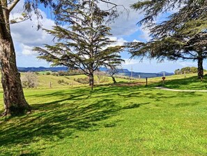 Botón de imagen sin clasificar, 3 de 14