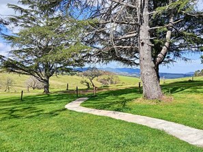 Botón de imagen sin clasificar, 2 de 14