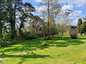 Botón de imagen sin clasificar, 4 de 14