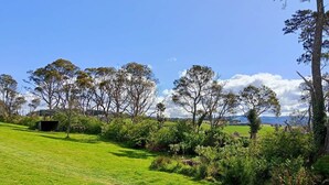 Un campo cubierto de hierba con árboles y cielo despejado.