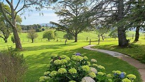 Un jardín bien cuidado con diversas plantas de hortensia, un sendero curvo y un gran árbol que da sombra.