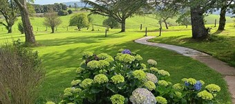 Fernbrook Guest House Kingfisher Suite