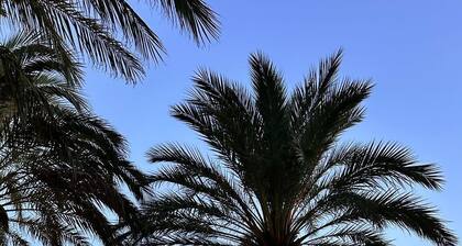 "Dedans-dehors", 10 mn from the beach, wifi, air conditionated