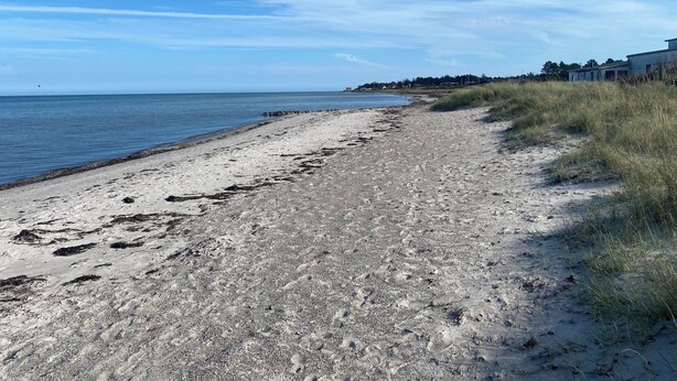 A beach with a clear sky, a sandy path, and a row of houses in the background. - Holiday house – located in a forest area (Glesborg)