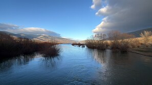 Unclassified image, 2 of 101, button