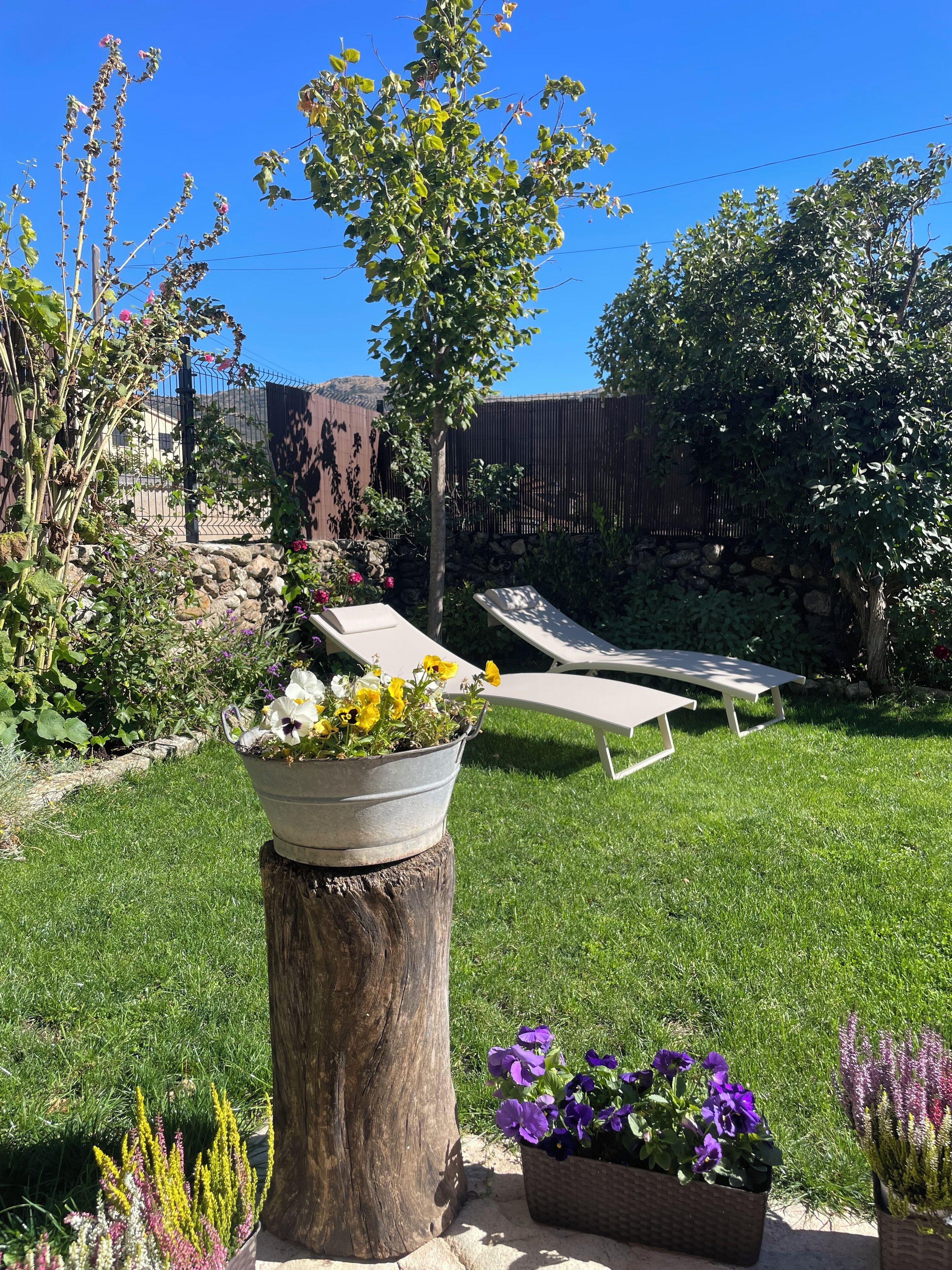 Superior Suite, Pets Allowed, Mountain View