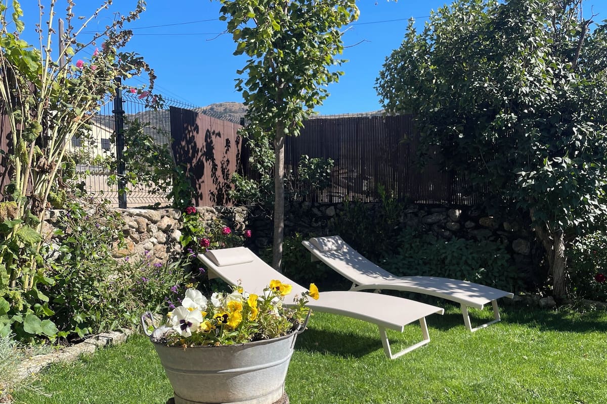 Superior Suite, Pets Allowed, Mountain View