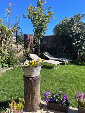 Superior Suite, Pets Allowed, Mountain View