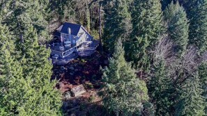 Une maison entourée d’une forêt dense.