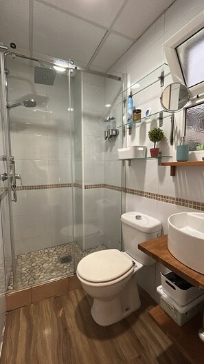 A bathroom with a glass-enclosed shower, a toilet, and a sink with a mirror above it. - Sevilla Imperial Apartment (perfect for a couple) (Sevilla)