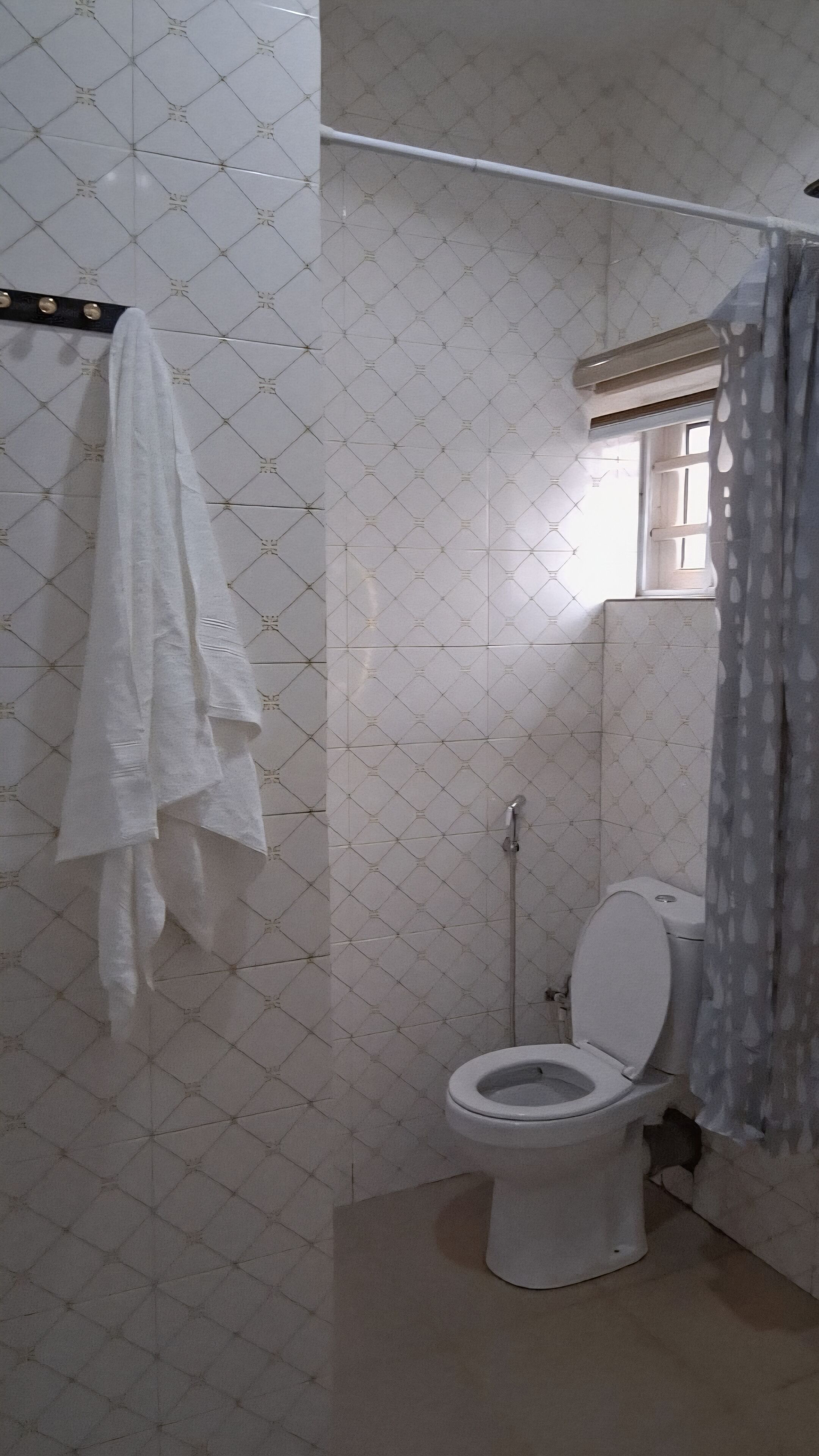 Bidet, serviettes fournies, savon, papier toilette