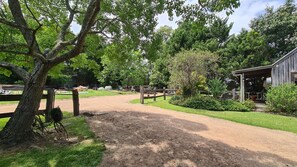 未分类图片，第 5 张，共 8 张，按钮