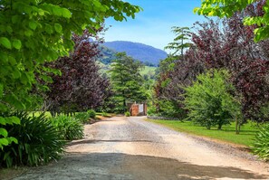 Billede uden beskrivelse, 3 af 10, knap