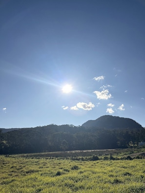 Un campo cubierto de hierba con una montaña al fondo y un cielo despejado.