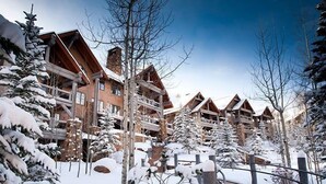 A snow-covered lodge with multiple wooden buildings, a stone pathway, and snow-laden trees.