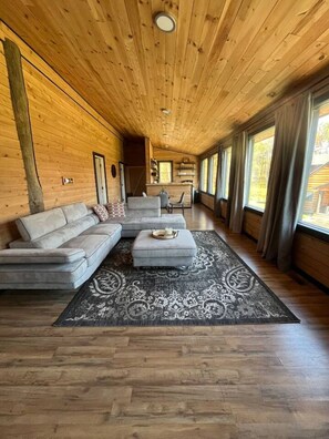 Unclassified image, 4 of 19, button