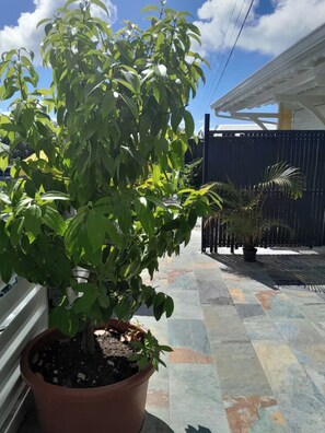 Uklassifisert bilde, 5 av 20, knapp