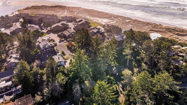 Ett bostadsområde vid kusten med hus omgivna av tät vegetation, en strand och utsikt över havet.