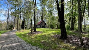 Exterior - Frontier Cabin in the heart of Hocking Hills with Wi-Fi & Spectrum TV. (Logan)
