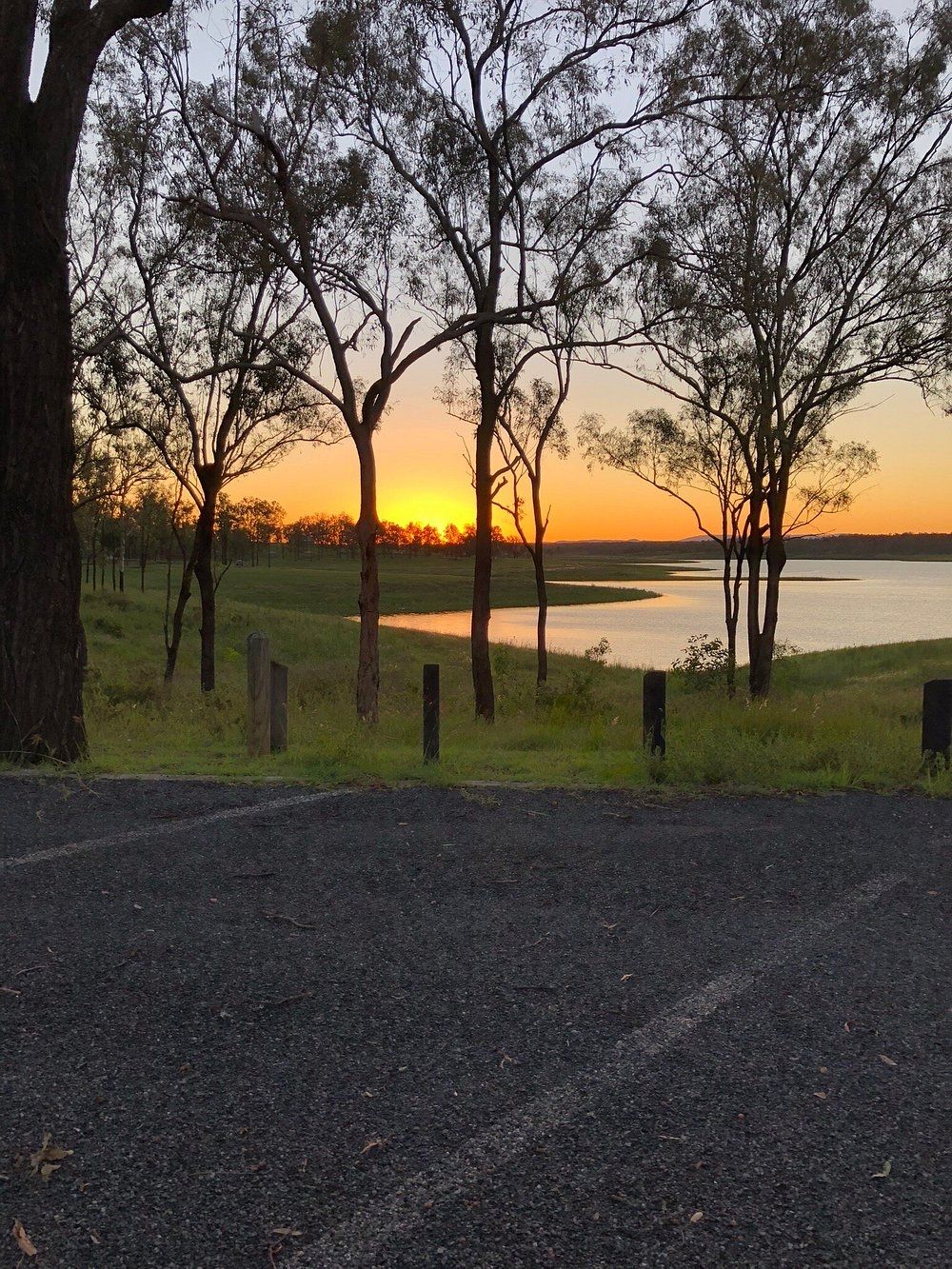 A rural landscape with trees, a road, and a body of water during sunset.