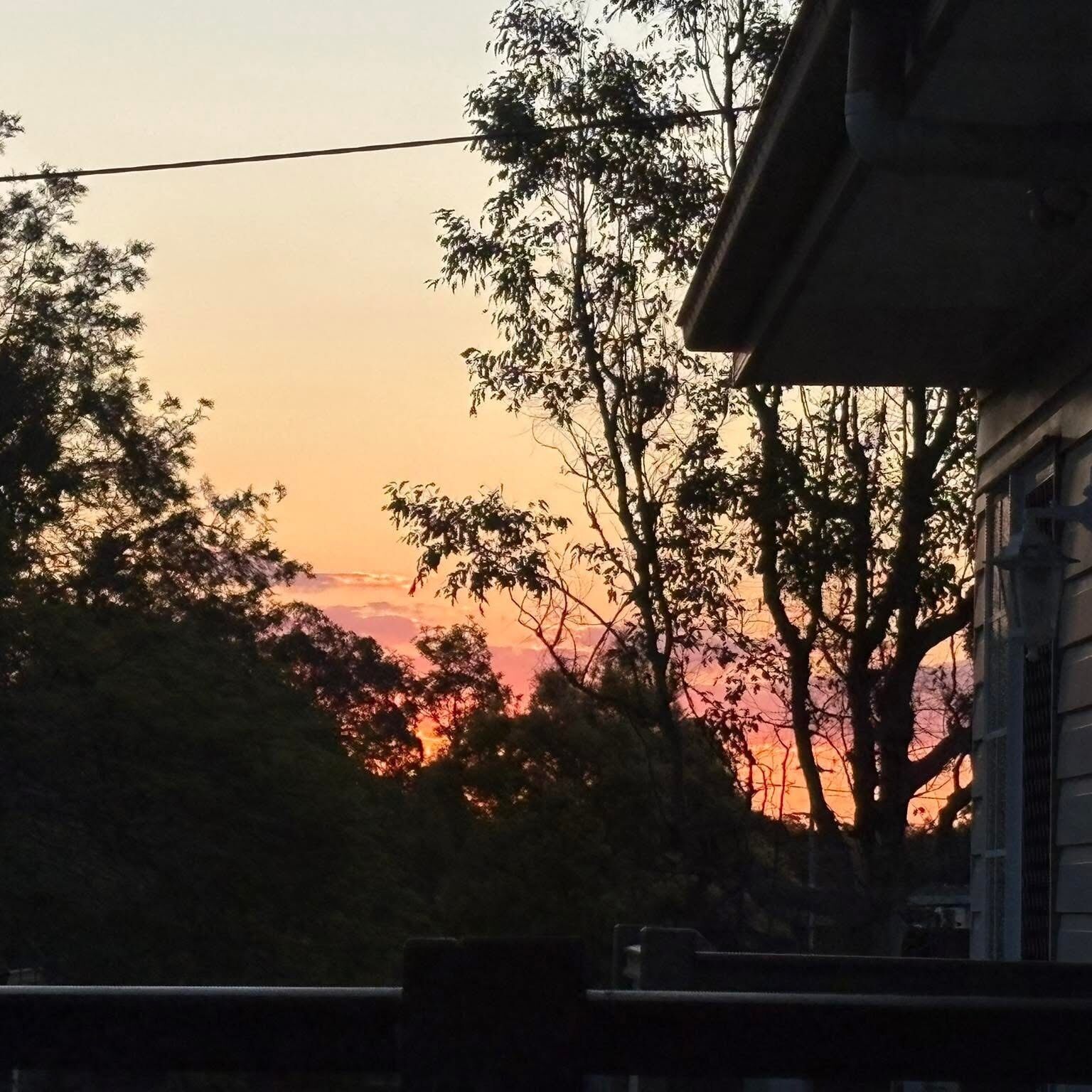 A sunset with trees silhouetted against the sky, a building with a sloped roof, and a power line overhead.