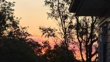 A sunset with trees silhouetted against the sky, a building with a sloped roof, and a power line overhead.