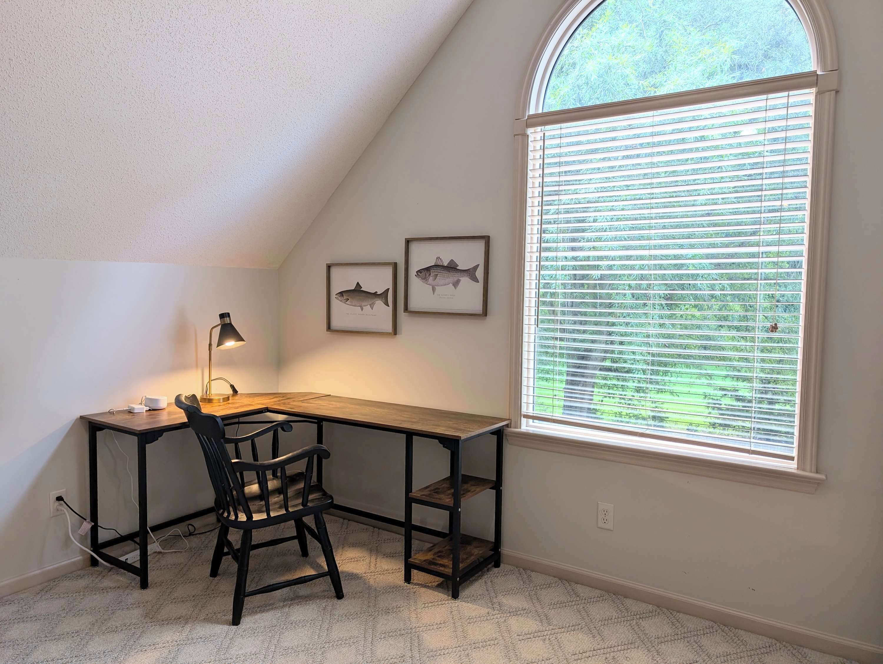 A corner desk with a chair, a lamp, and two framed fish pictures on the wall.
