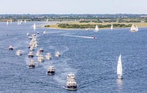 Unclassified image, 3 of 19, button