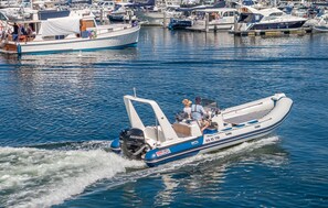 Unclassified image, 4 of 19, button