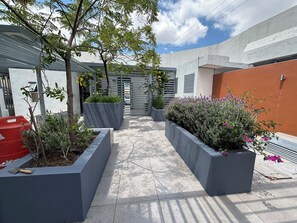 星評価なしの画像、2 / 33、ボタン