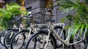 A row of bicycles with attached baskets, parked in an outdoor area with greenery and a building in the background. - Apartment Lower Level (Panama City)