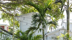 A pathway lined with tropical plants leading to a white building with a white picket fence. - Lighthouse Suites Collection (Key West)