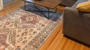 A living room with a blue sofa, a gray sofa, a wooden coffee table, and a patterned rug.
