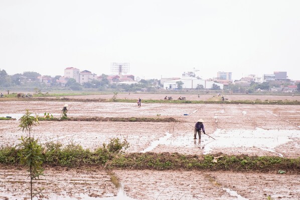 Botó d’imatge sense classificar, 1 de 52